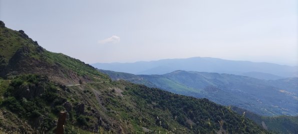 IMG_20220618_105209