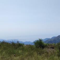 IMG_20220618_105243